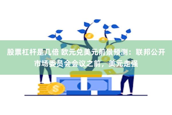 股票杠杆是几倍 欧元兑美元前景预测：联邦公开市场委员会会议之前，美元走强