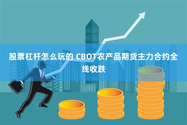 股票杠杆怎么玩的 CBOT农产品期货主力合约全线收跌