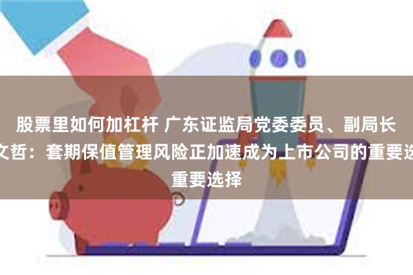 股票里如何加杠杆 广东证监局党委委员、副局长王文哲：套期保值管理风险正加速成为上市公司的重要选择