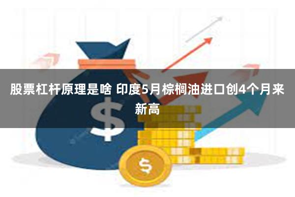 股票杠杆原理是啥 印度5月棕榈油进口创4个月来新高