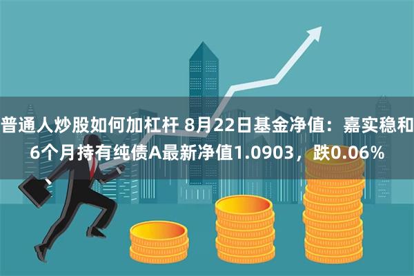 普通人炒股如何加杠杆 8月22日基金净值：嘉实稳和6个月持有纯债A最新净值1.0903，跌0.06%