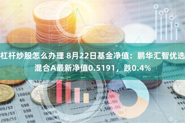 杠杆炒股怎么办理 8月22日基金净值：鹏华汇智优选混合A最新净值0.5191，跌0.4%