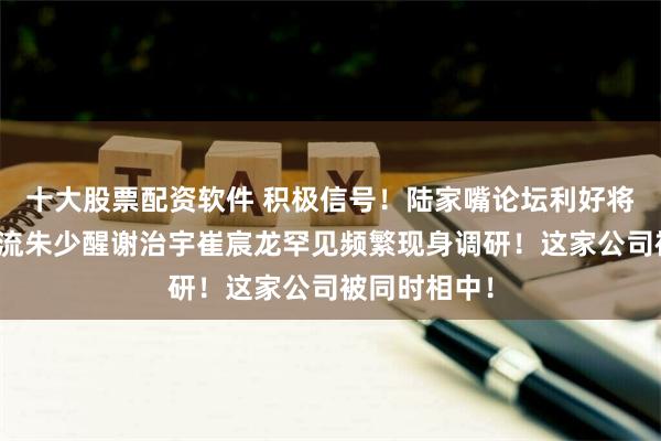 十大股票配资软件 积极信号！陆家嘴论坛利好将至，公募顶流朱少醒谢治宇崔宸龙罕见频繁现身调研！这家公司被同时相中！