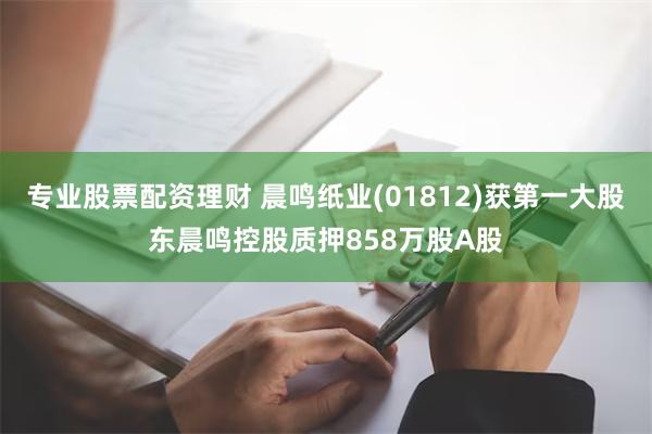 专业股票配资理财 晨鸣纸业(01812)获第一大股东晨鸣控股质押858万股A股