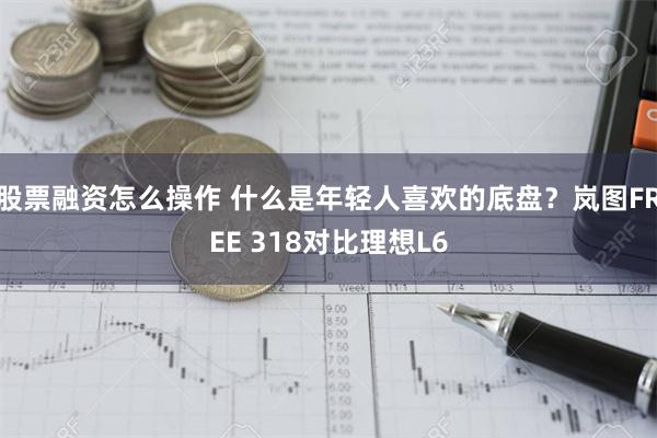 股票融资怎么操作 什么是年轻人喜欢的底盘？岚图FREE 318对比理想L6