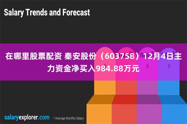 在哪里股票配资 秦安股份（603758）12月4日主力资金净买入984.88万元