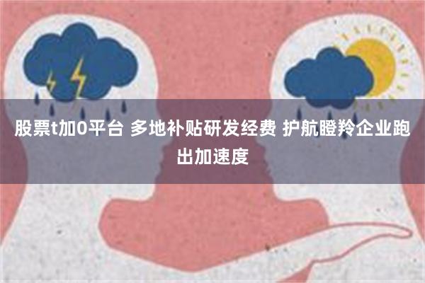 股票t加0平台 多地补贴研发经费 护航瞪羚企业跑出加速度