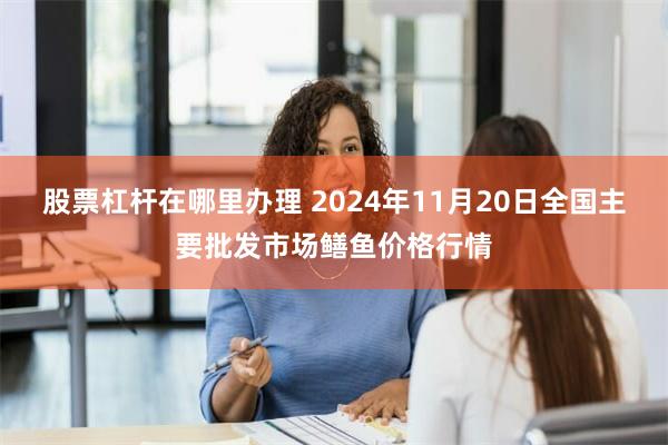 股票杠杆在哪里办理 2024年11月20日全国主要批发市场鳝鱼价格行情