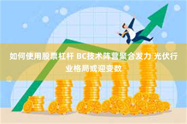 如何使用股票杠杆 BC技术阵营聚合发力 光伏行业格局或迎变数