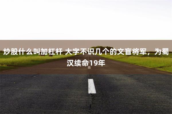 炒股什么叫加杠杆 大字不识几个的文盲将军，为蜀汉续命19年