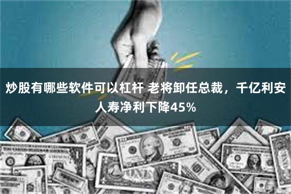 炒股有哪些软件可以杠杆 老将卸任总裁，千亿利安人寿净利下降45%