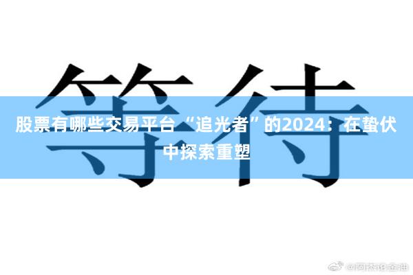 股票有哪些交易平台 “追光者”的2024：在蛰伏中探索重塑