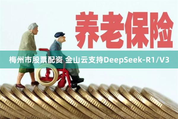 梅州市股票配资 金山云支持DeepSeek-R1/V3