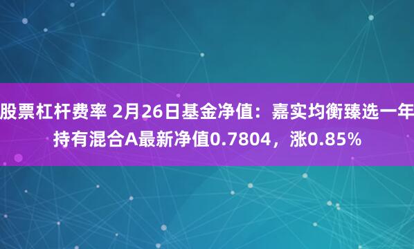 股票杠杆费率 2月26日基金净值：嘉实均衡臻选一年持有混合A最新净值0.7804，涨0.85%